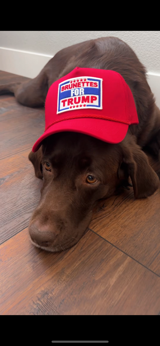 Brunettes  for trump